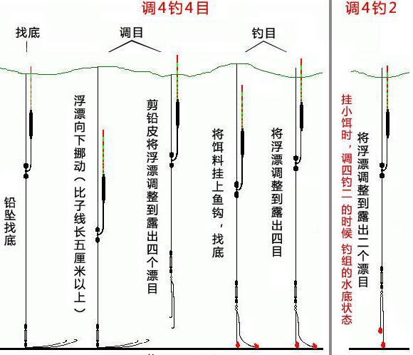 钩鲤鱼调漂技巧视频(钩鲤鱼调漂技巧视频教程)