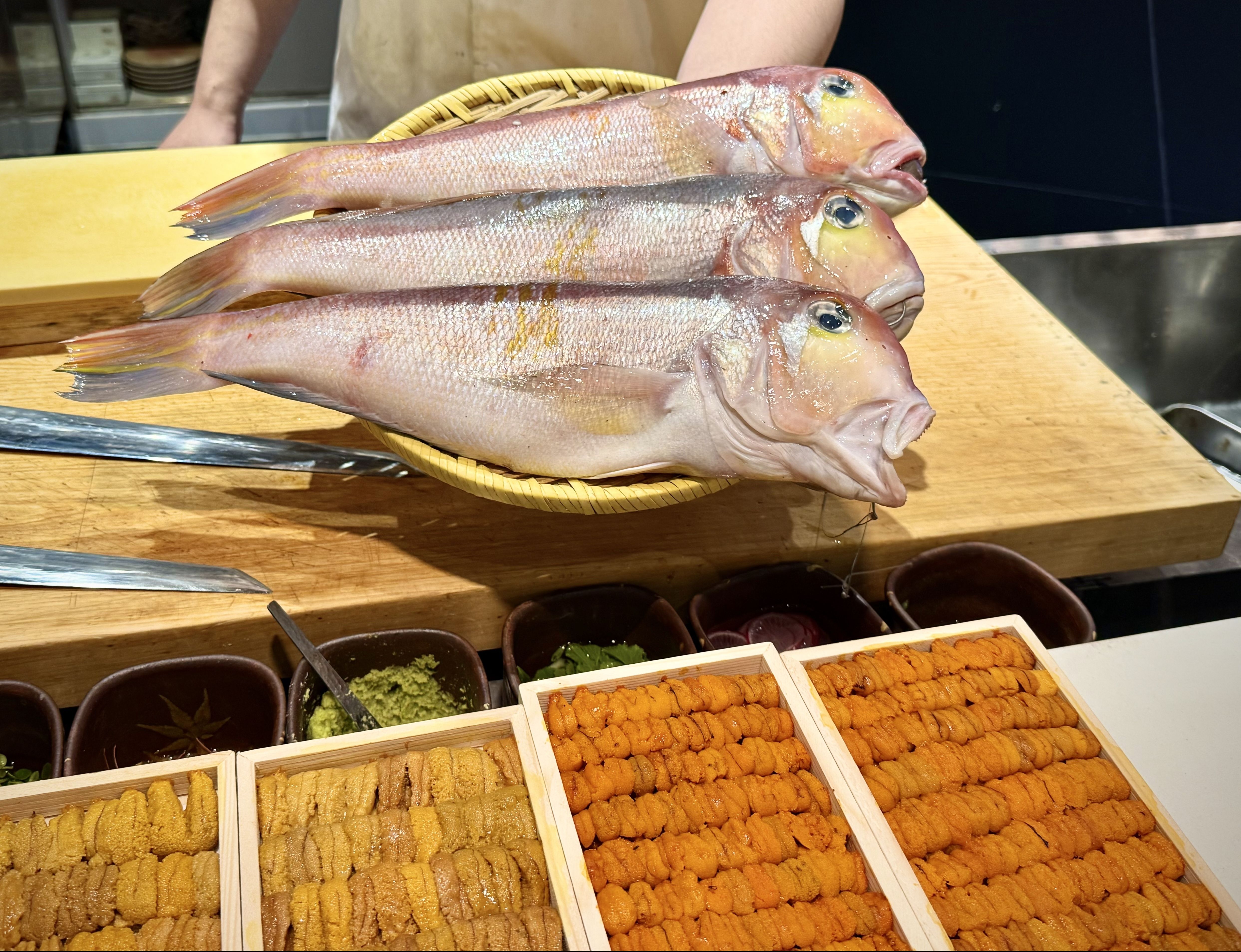 红海钓具(红海鱼缸官方旗舰店)