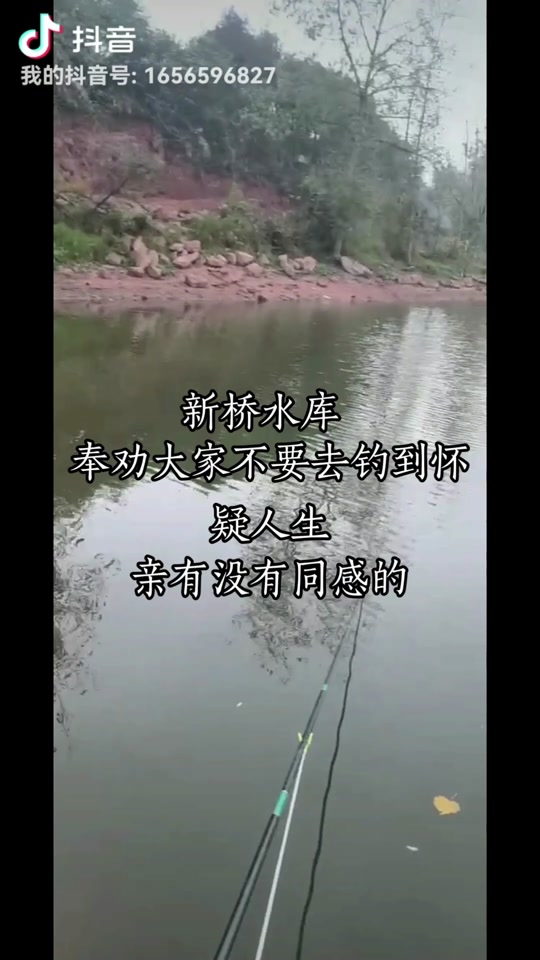 海沧新桥水库钓鱼技巧(新桥水库有什么鱼)