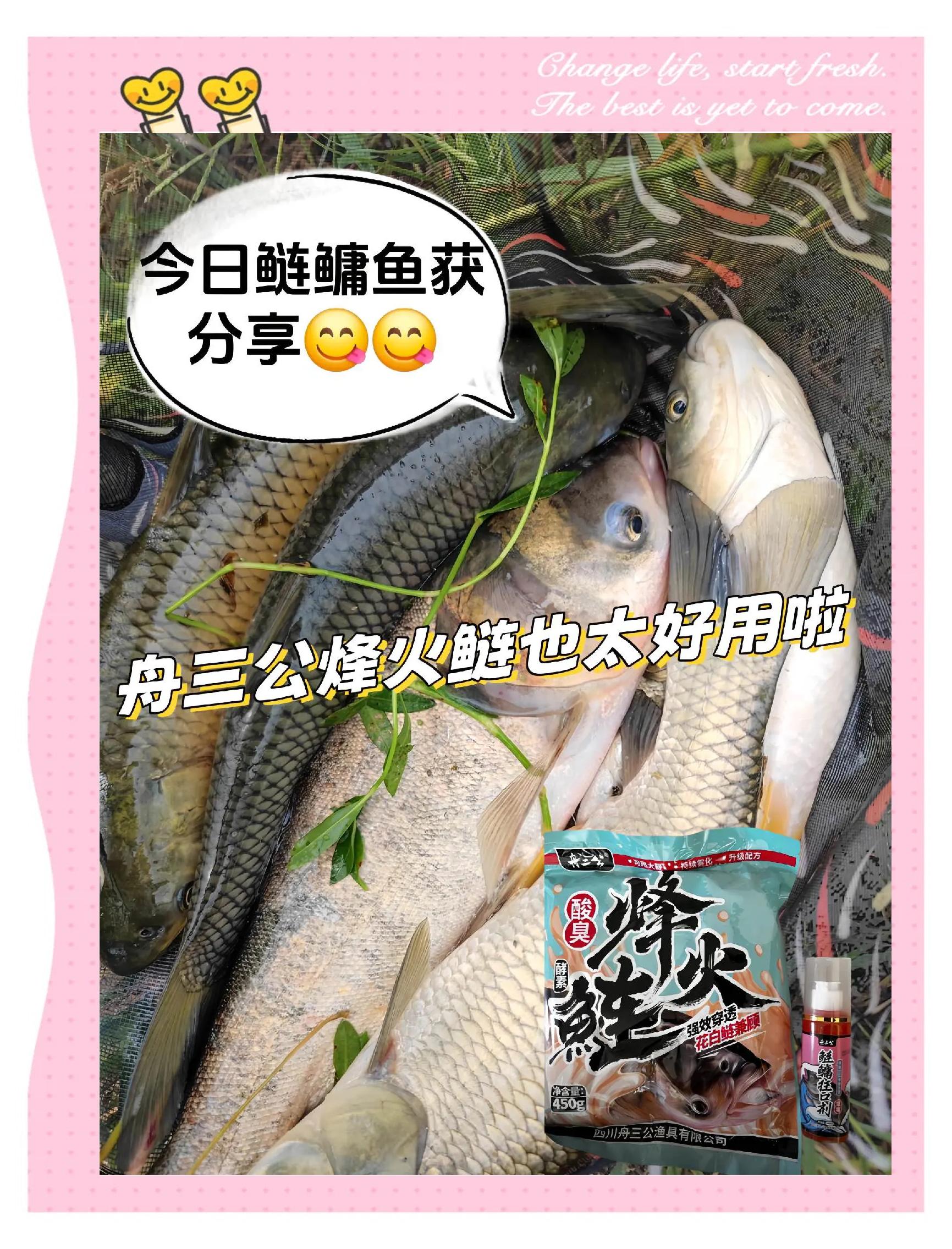 钓花莲鱼饵料(钓花莲鱼饵料怎么配)