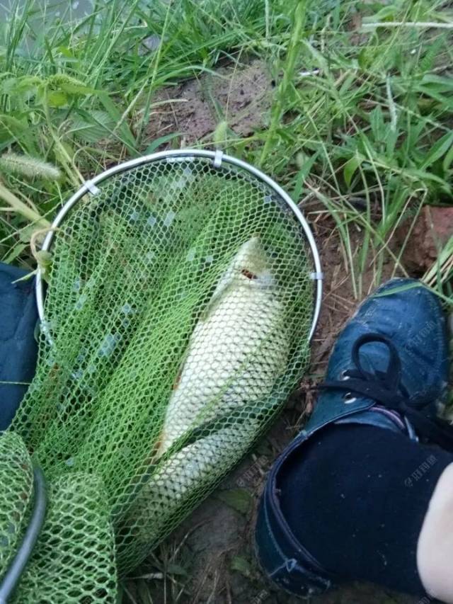 船缝钓鱼技巧(船钓技巧大全)