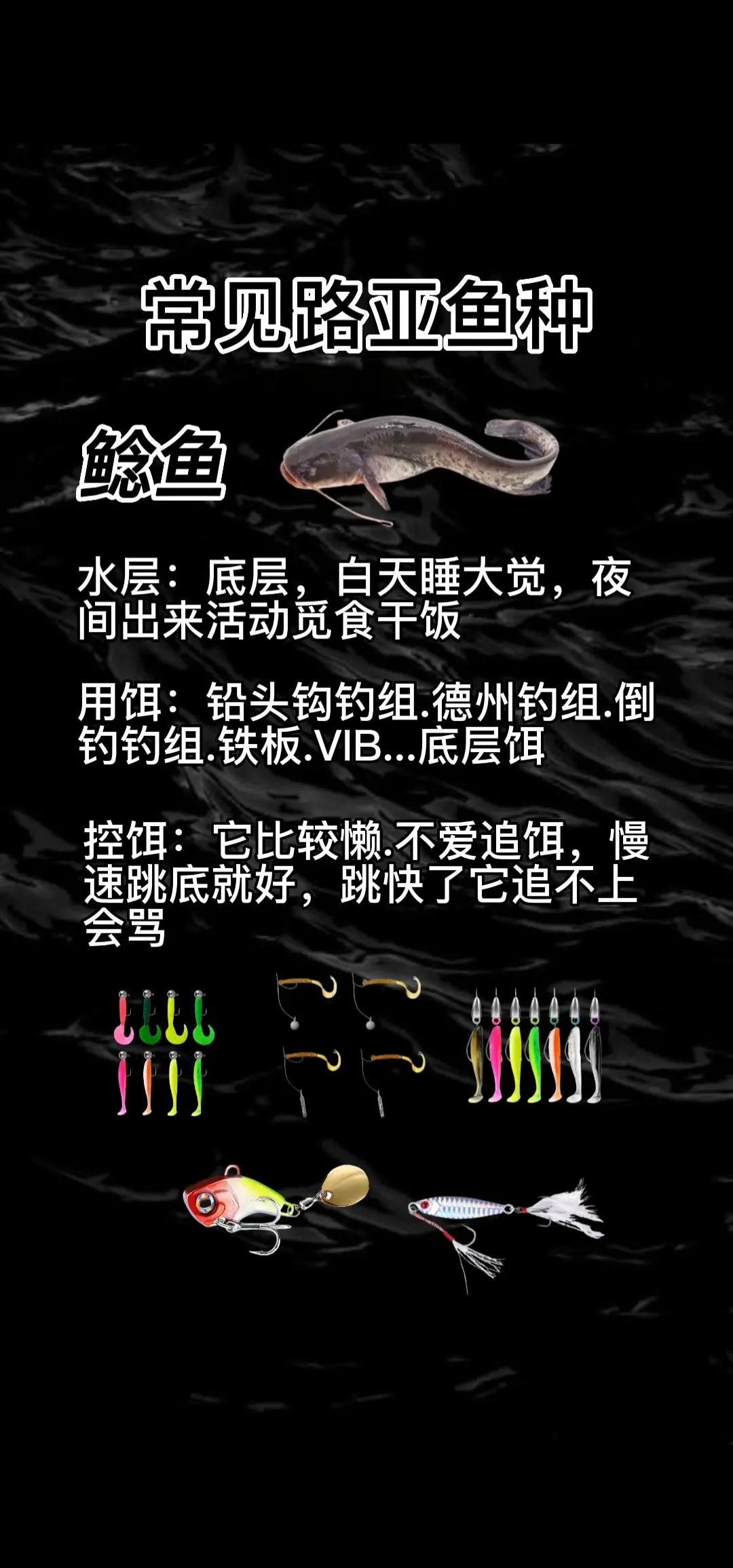 路亚怎么掉鲅鱼(路亚鲅鱼线组连接图解 铁板)