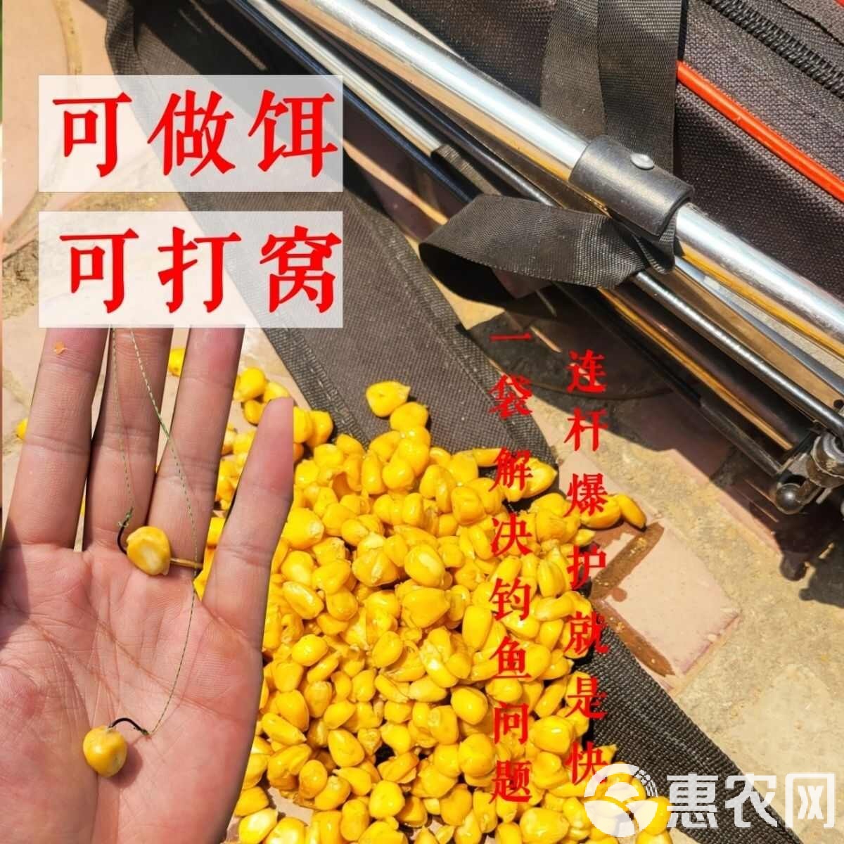 冬天自制发酵鱼饵技巧(冬天自制发酵鱼饵技巧视频)