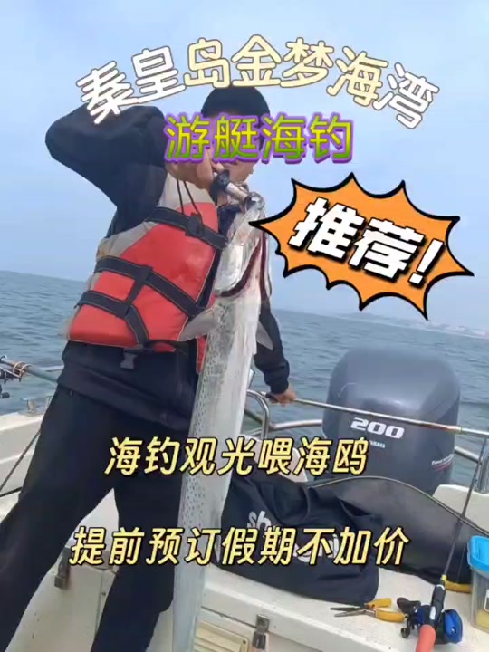 海湾海钓(海湾有什么鱼)