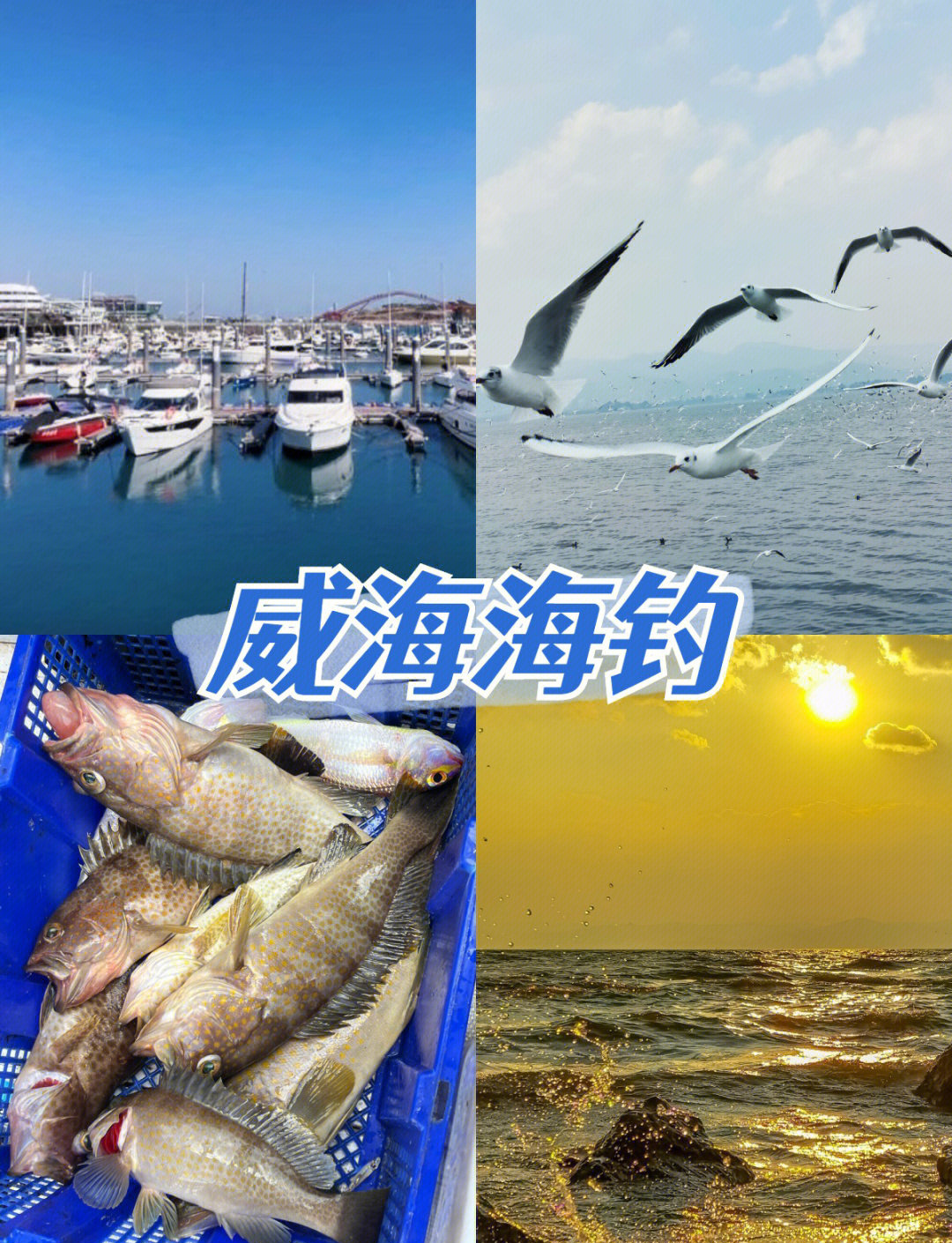 威海钓鱼俱乐部有哪些(威海钓鱼俱乐部有哪些地方)