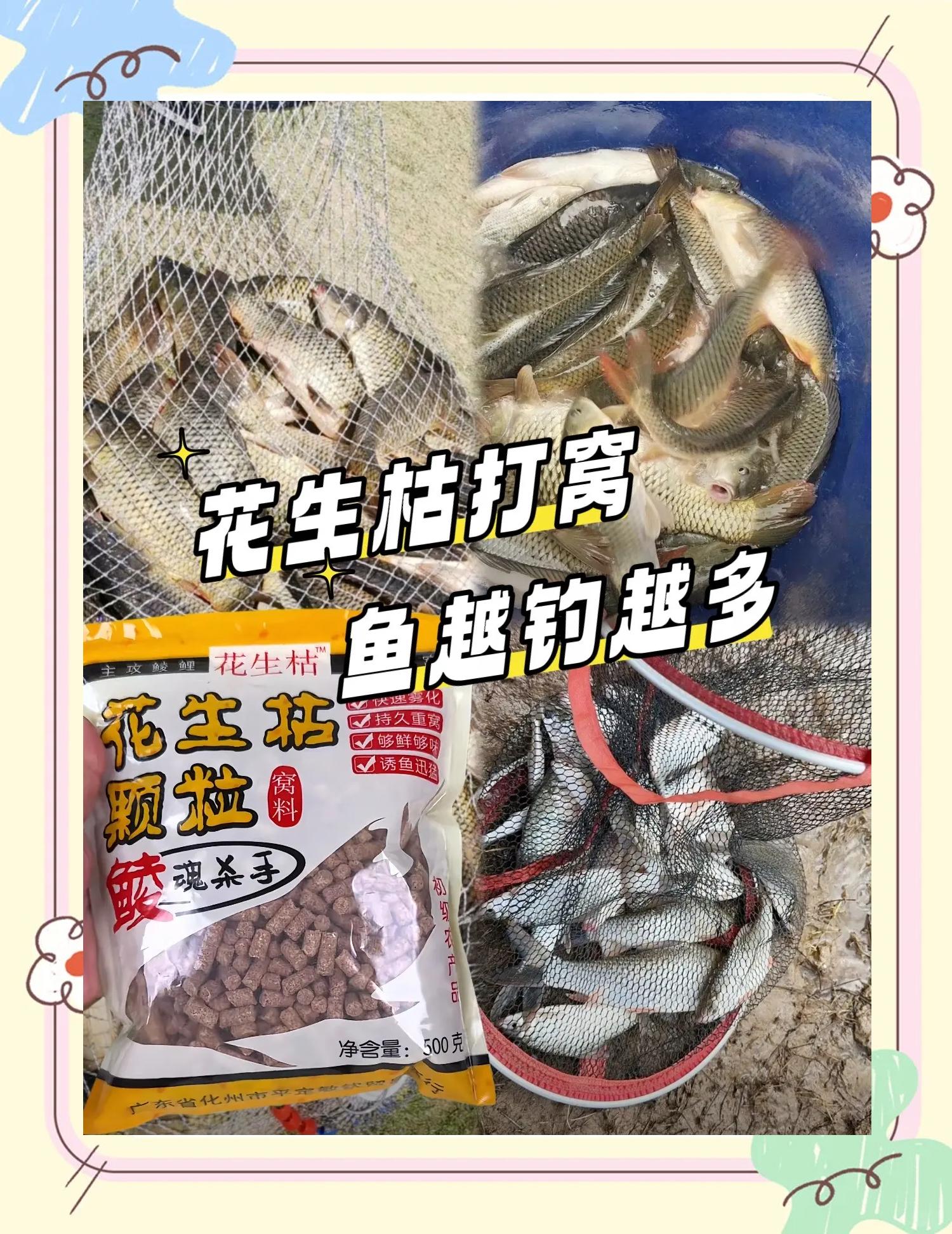 花生作钓鱼饵料(花生钓鱼配方)