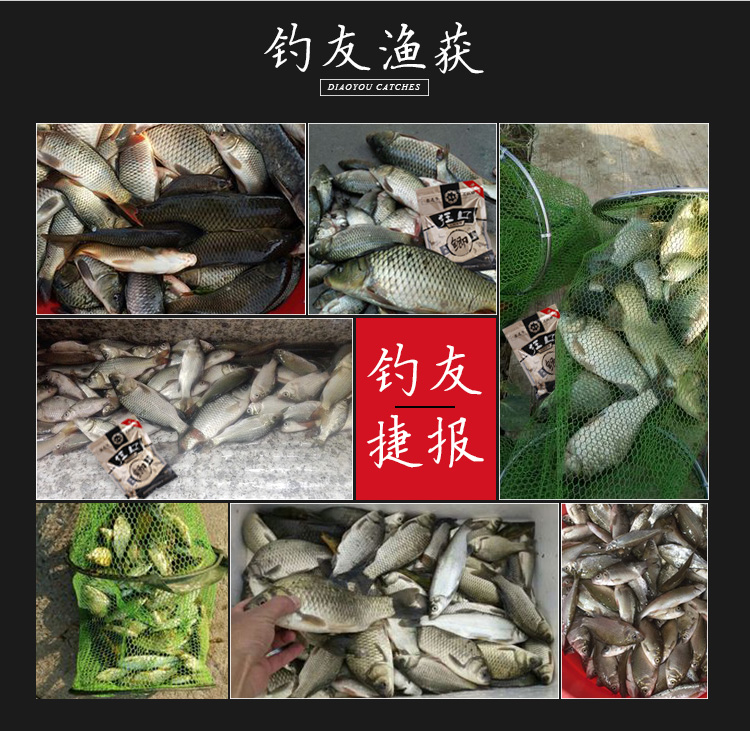 黑坑黄金鲫鱼饵料配方(黑坑黄金鲫鱼饵料配方是不是黄金做了)