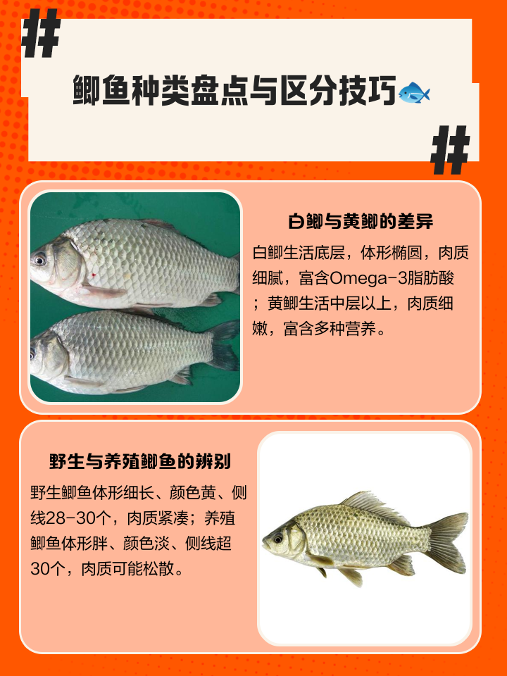 仲夏鲫鱼技巧(夏季鲫鱼调漂最佳方法)