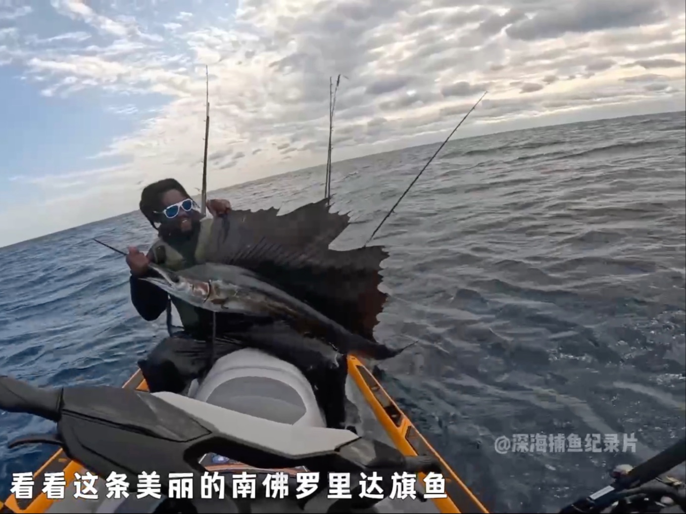 海钓旗鱼视频优酷(钓旗鱼危险视频)