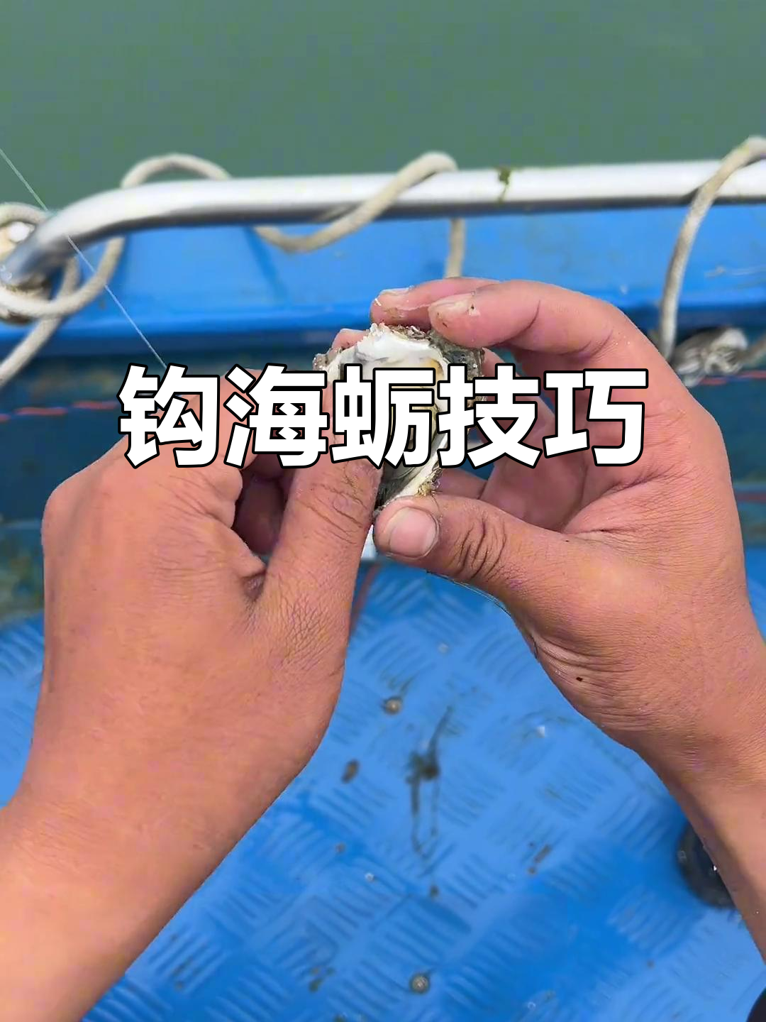 海钓贡海蜊(海钓价格一览表)