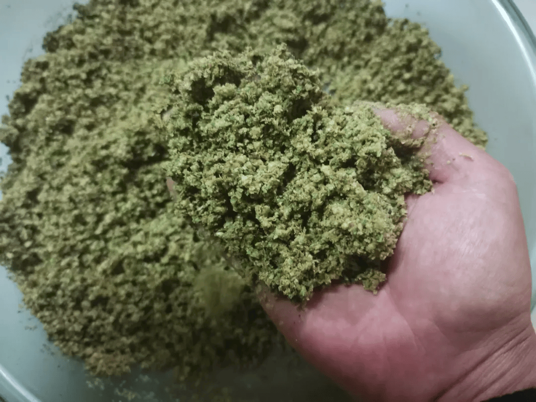 用笼子搞草鱼饵料(草鱼笼捕鱼)