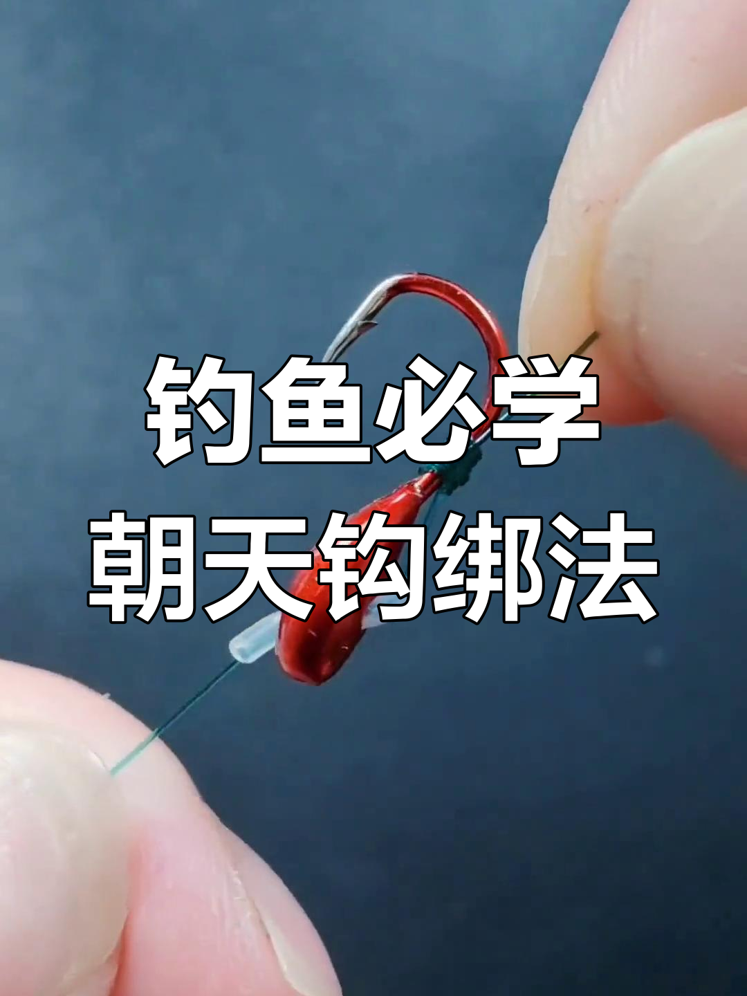 钓麻勾鱼技巧(麻钩鱼 百度一下)