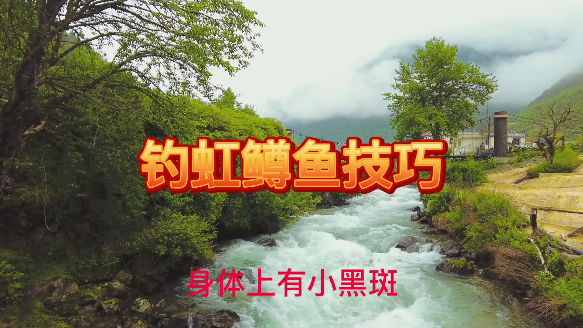 钓麻勾鱼技巧(麻钩鱼 百度一下)