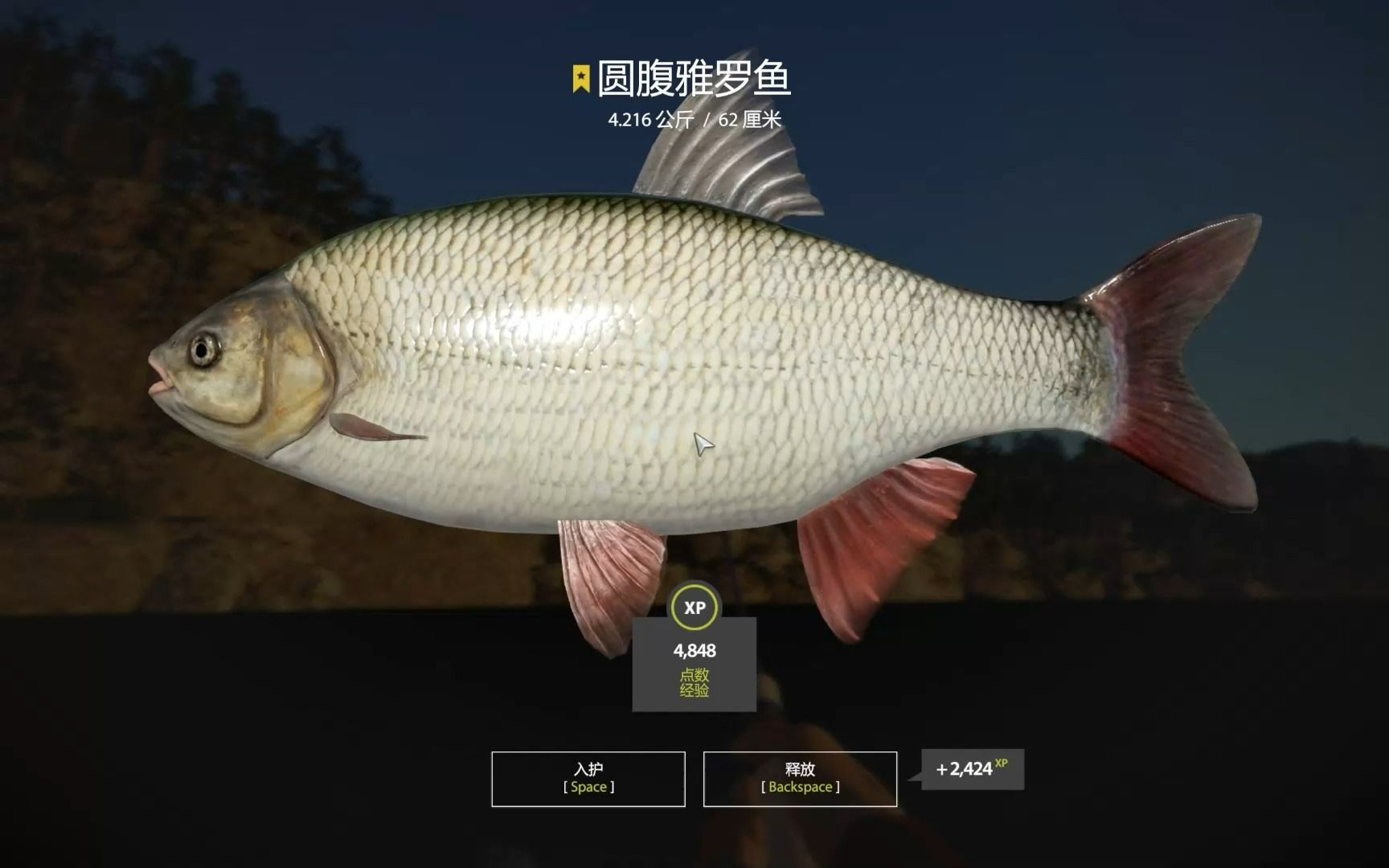 钓雅罗鱼饵料(钓雅罗鱼用什么鱼食)