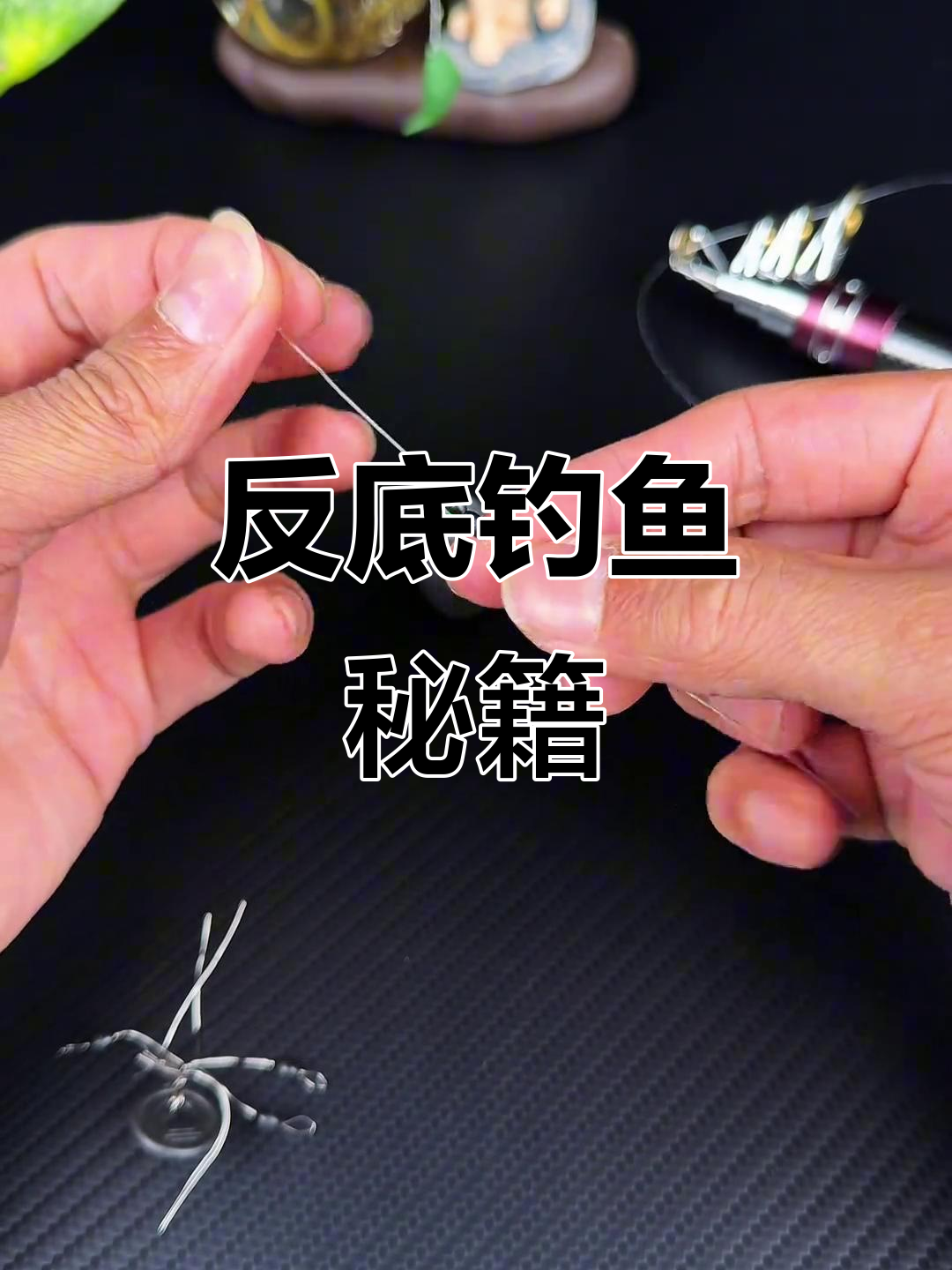 抛竿钓底技巧6(抛竿钓底用什么鱼饵好)