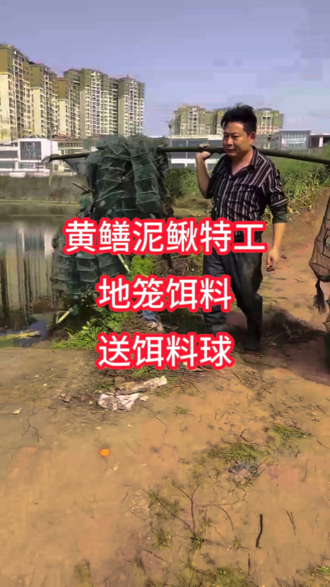 地龙网用什么饵料(地龙网用什么饵料最好)