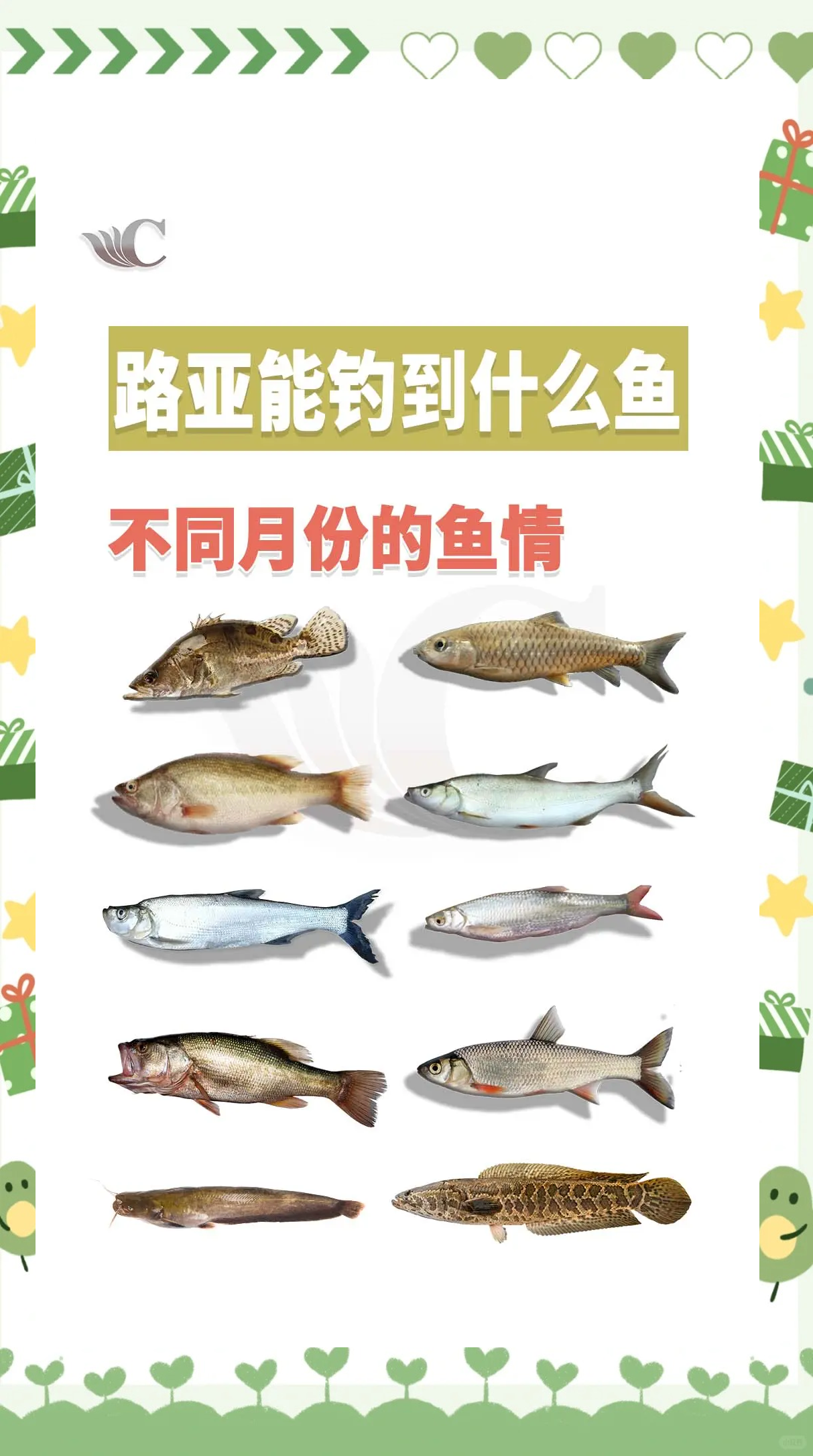 路亚还是路亚(路亚路亚是什么意思)