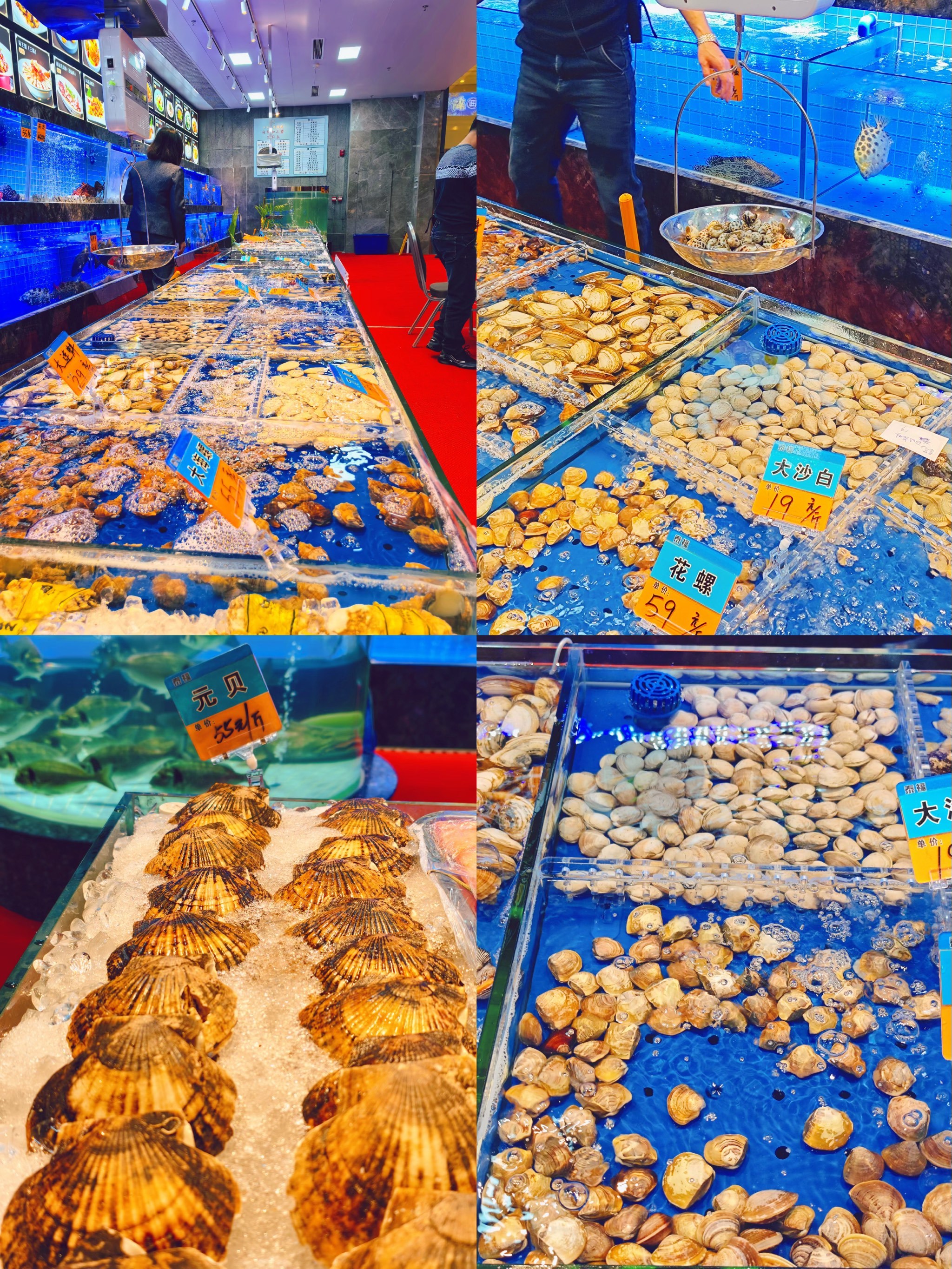 珠海渔具批发中心(珠海最大的渔具店)