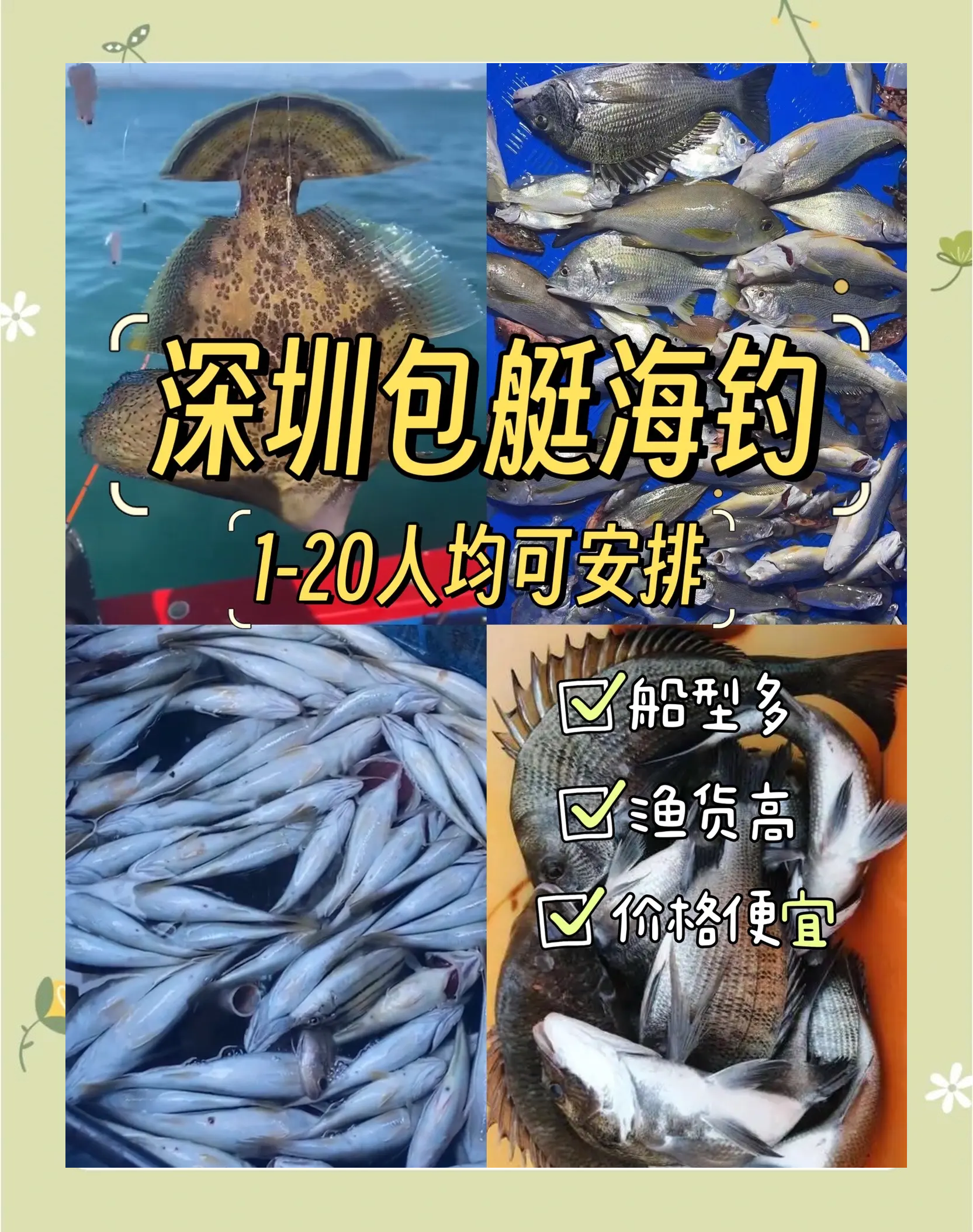 小洋山海钓攻略(小洋山哪里可以赶海)