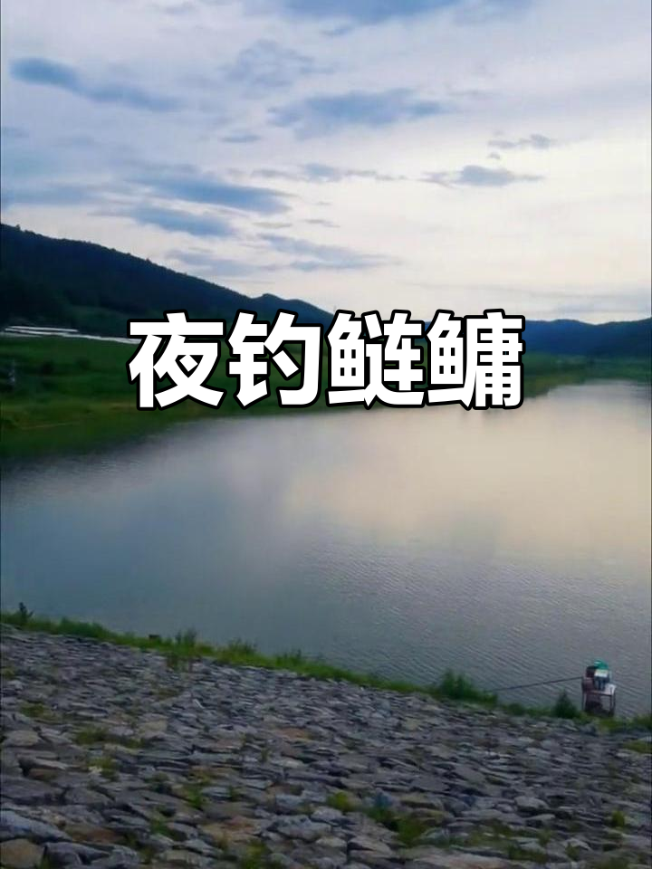 夜钓大型水库技巧(夜钓大型水库技巧和方法)