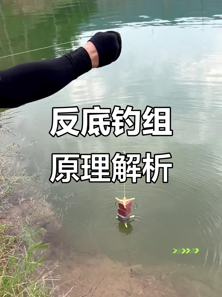 钓链鳙的技巧配料视频(链鳙饵料)