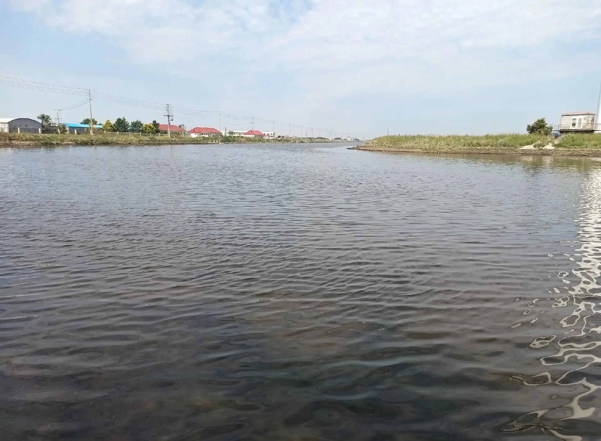 水库路亚海鲈鱼技巧(路亚水库钓鲈鱼技巧)