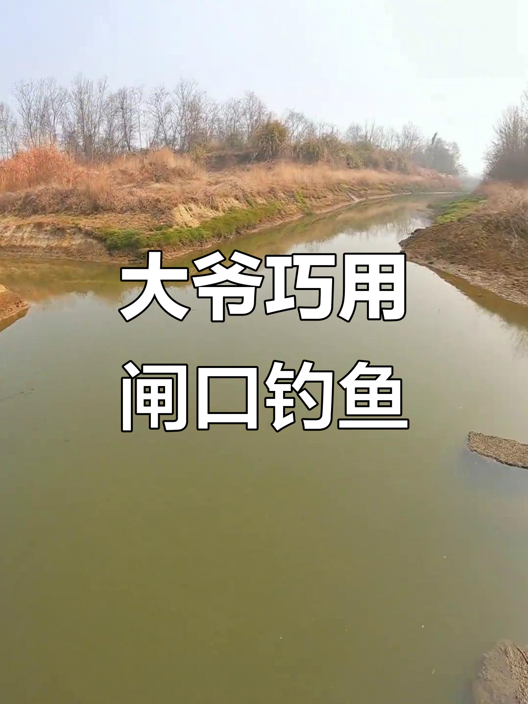 运河闸口钓鱼技巧(运河野钓)