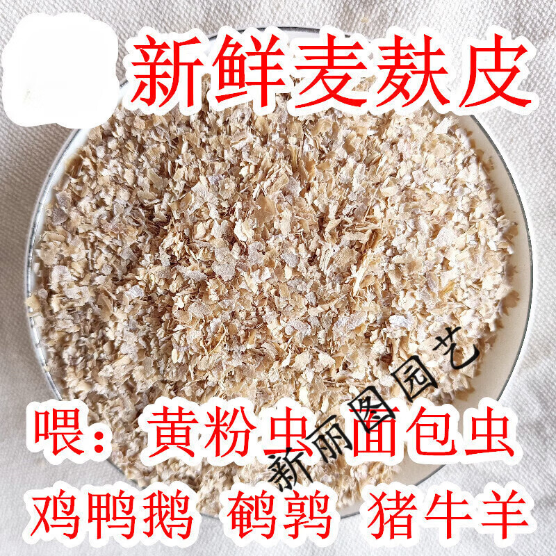 麦麸打窝技巧(麦麸制作打窝料)