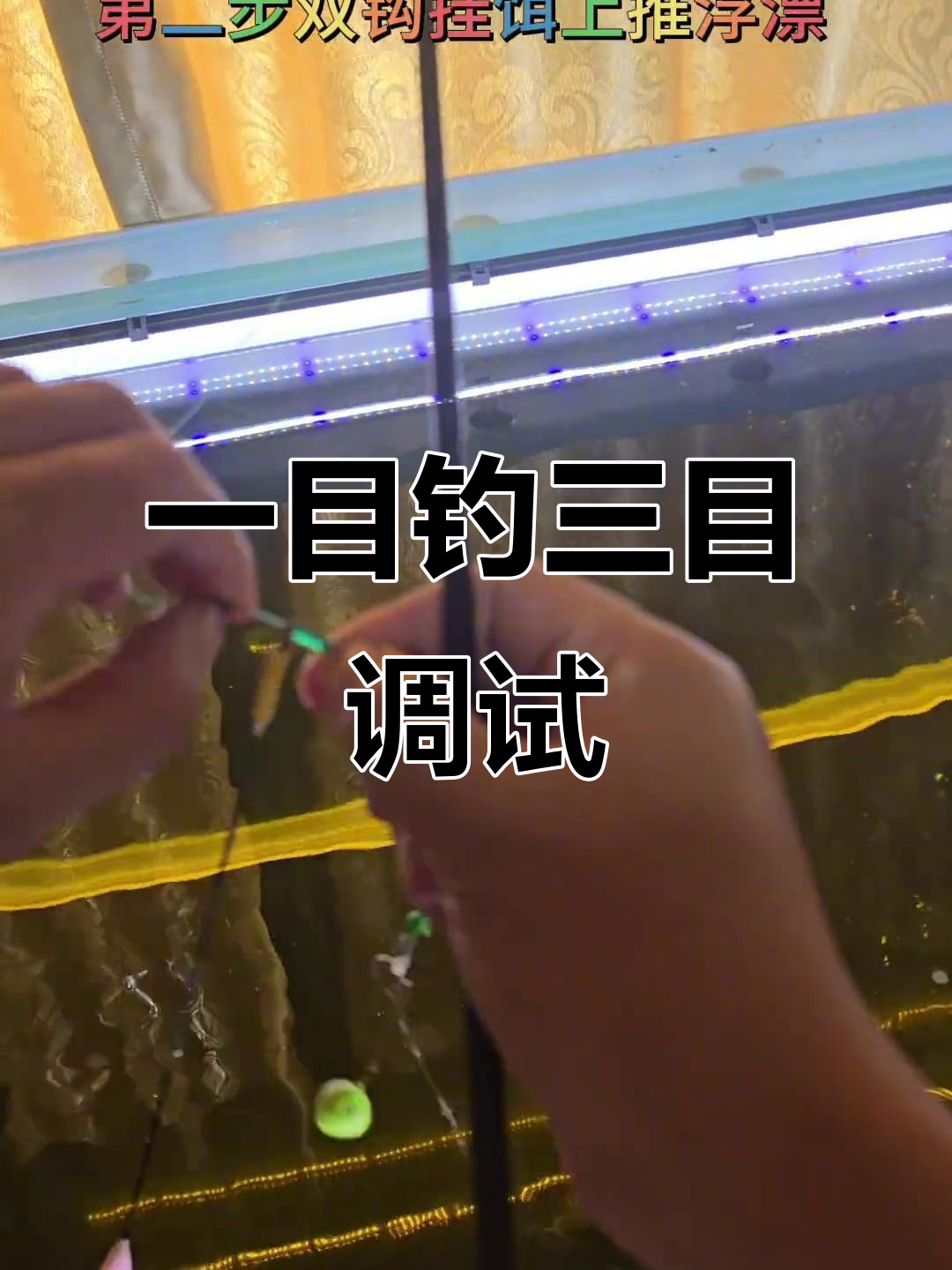流水半水钓鱼技巧视频(钓鱼 半水)