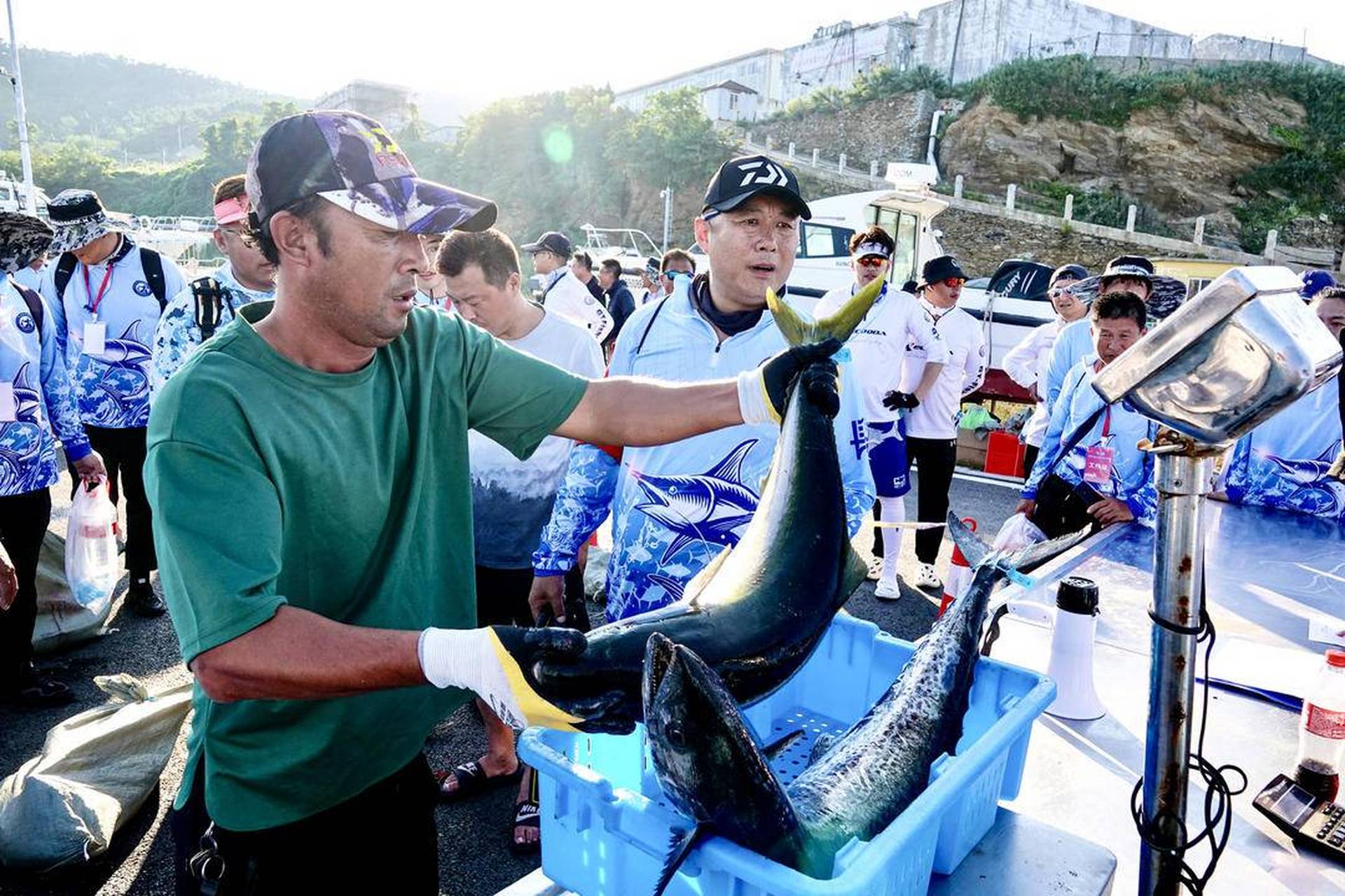 大连海钓(大连海钓价格)