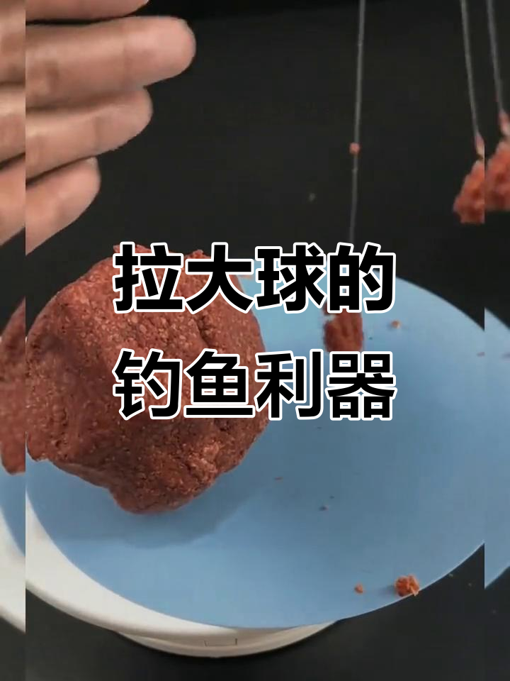 冷冻饵料拉大球开法(冷冻饵开饵)
