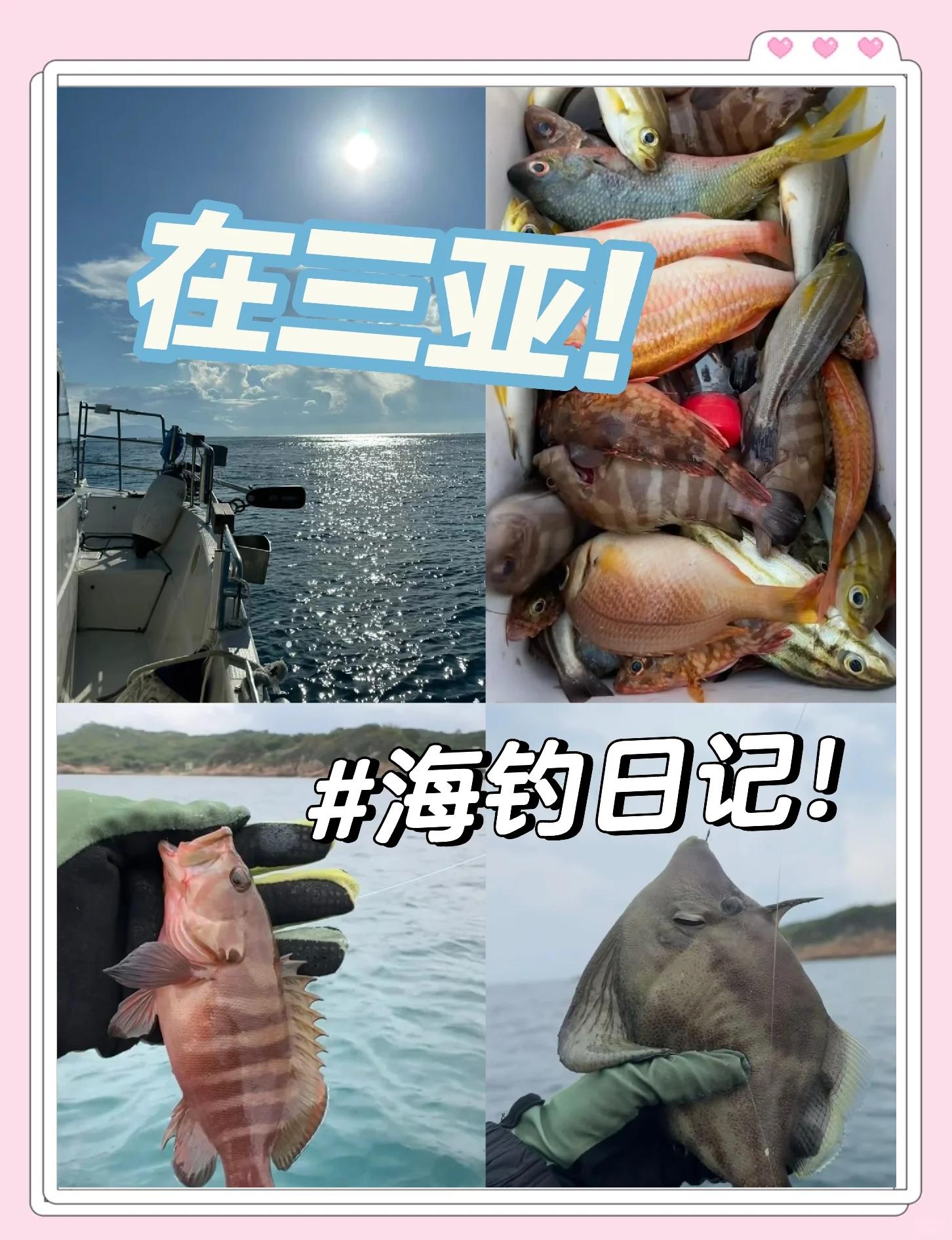 开个海钓场(开海钓场赚钱吗)