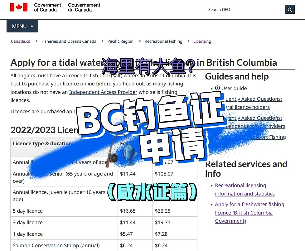 海钓船证(海钓船驾驶证在哪报名)