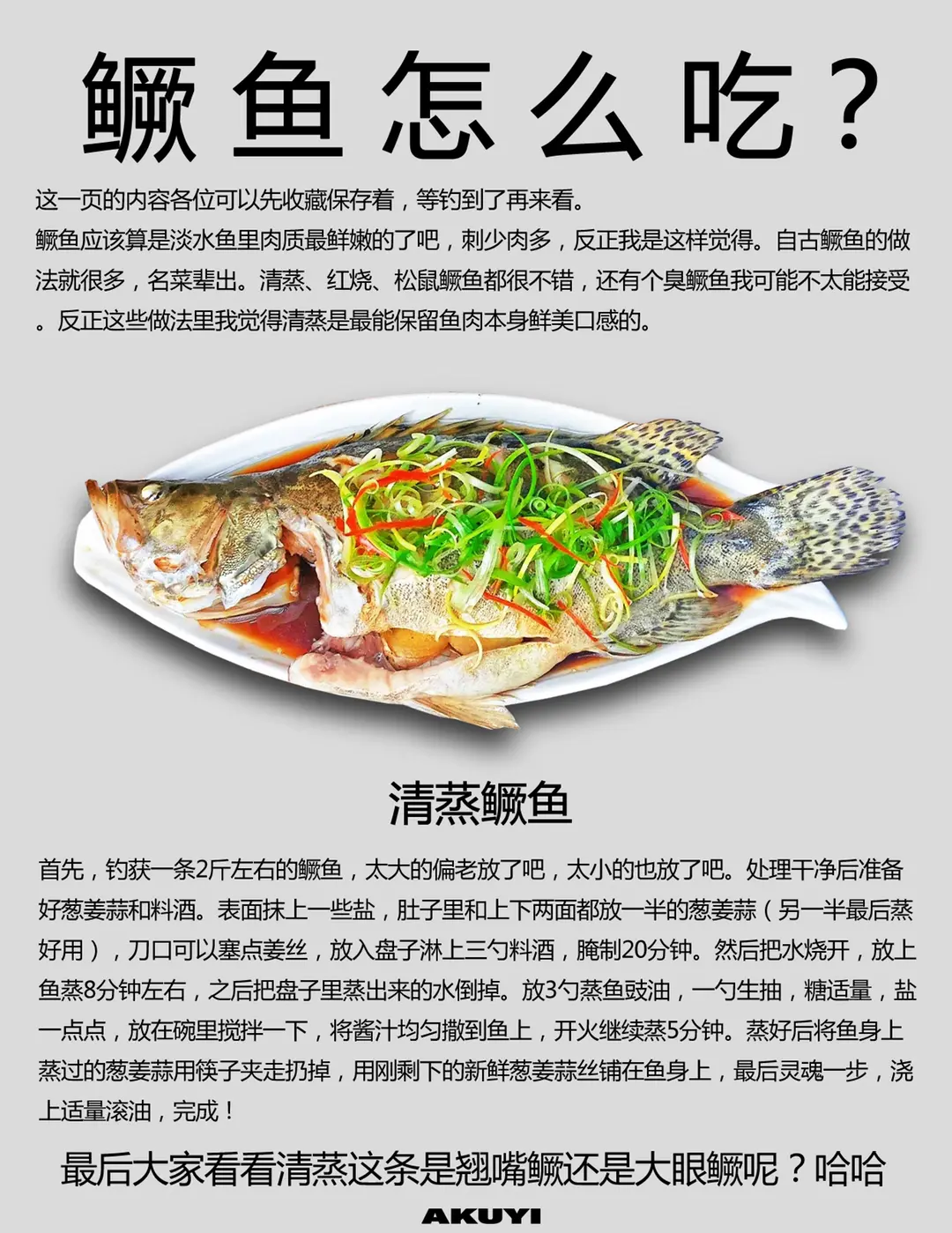 浮钓鳜鱼技巧(钓鳜鱼技巧视频教程)