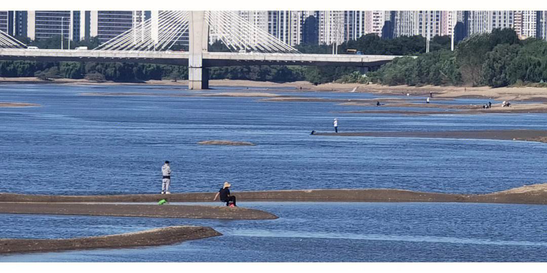 浑河野钓技巧(浑河野钓视频)