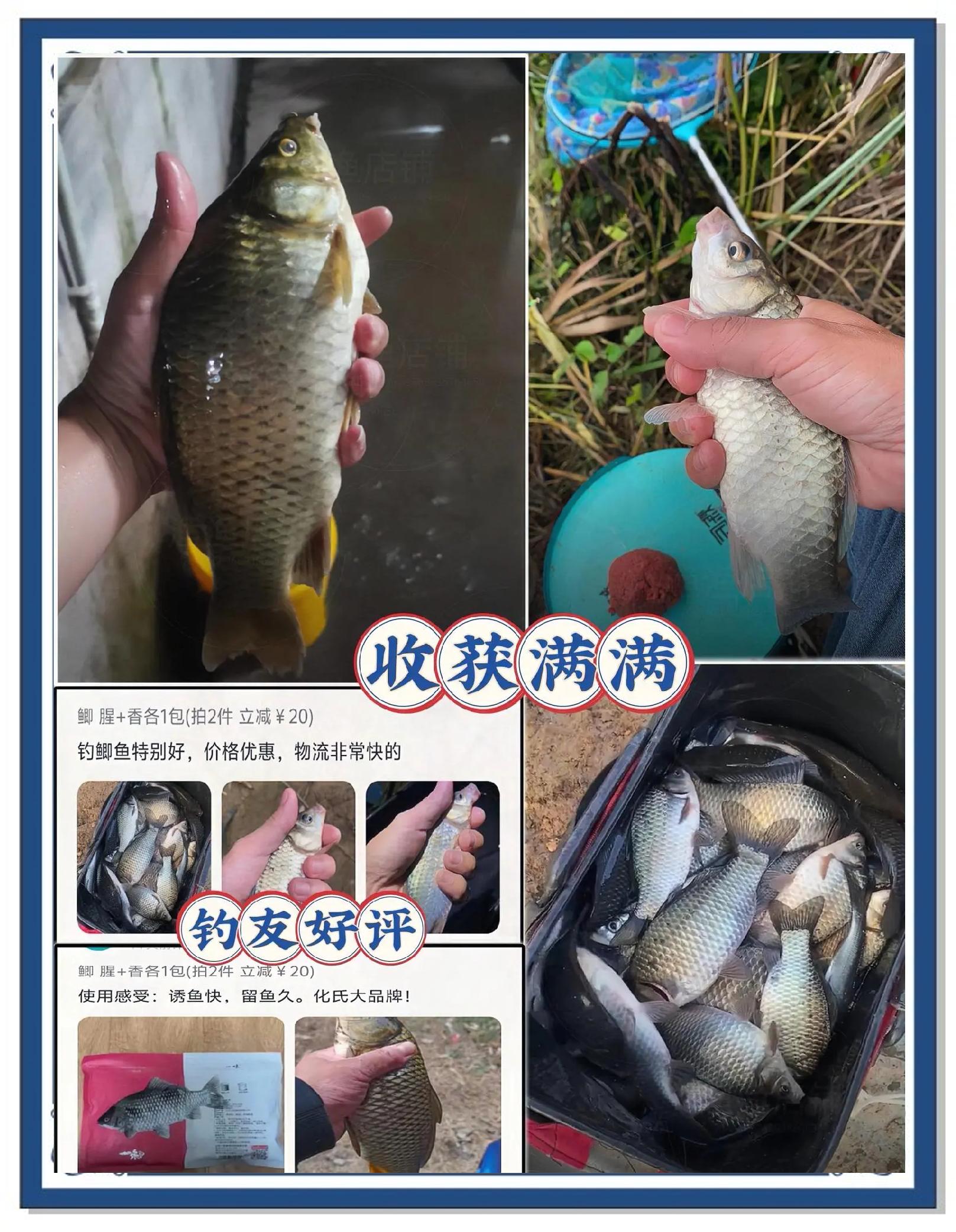 化氏草鱼饵料配方图片(化氏野钓草的用法)