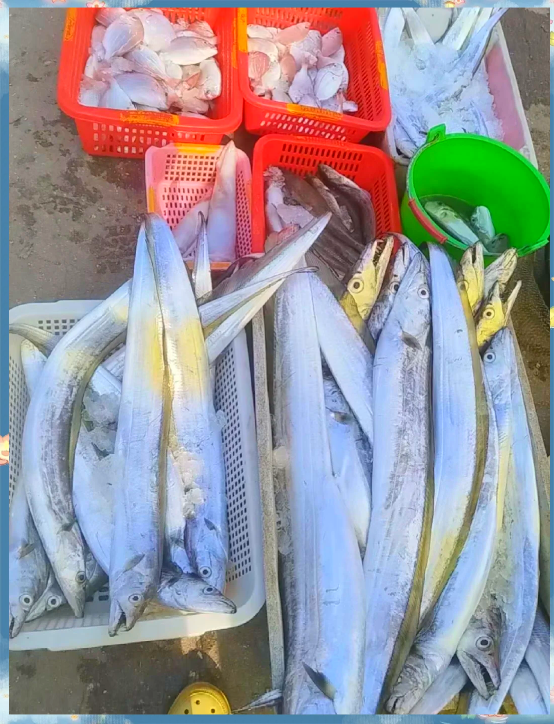 海港海钓(海港码头怎么钓鱼)