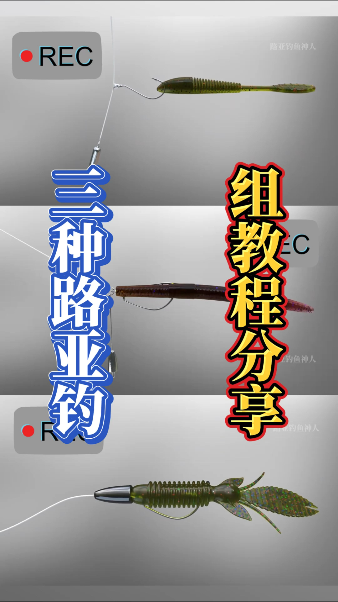 钓路亚方法(钓鱼路亚教学视频)