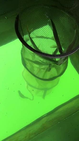 水库筏钓大翘嘴技巧(水库筏钓水深多少合适)