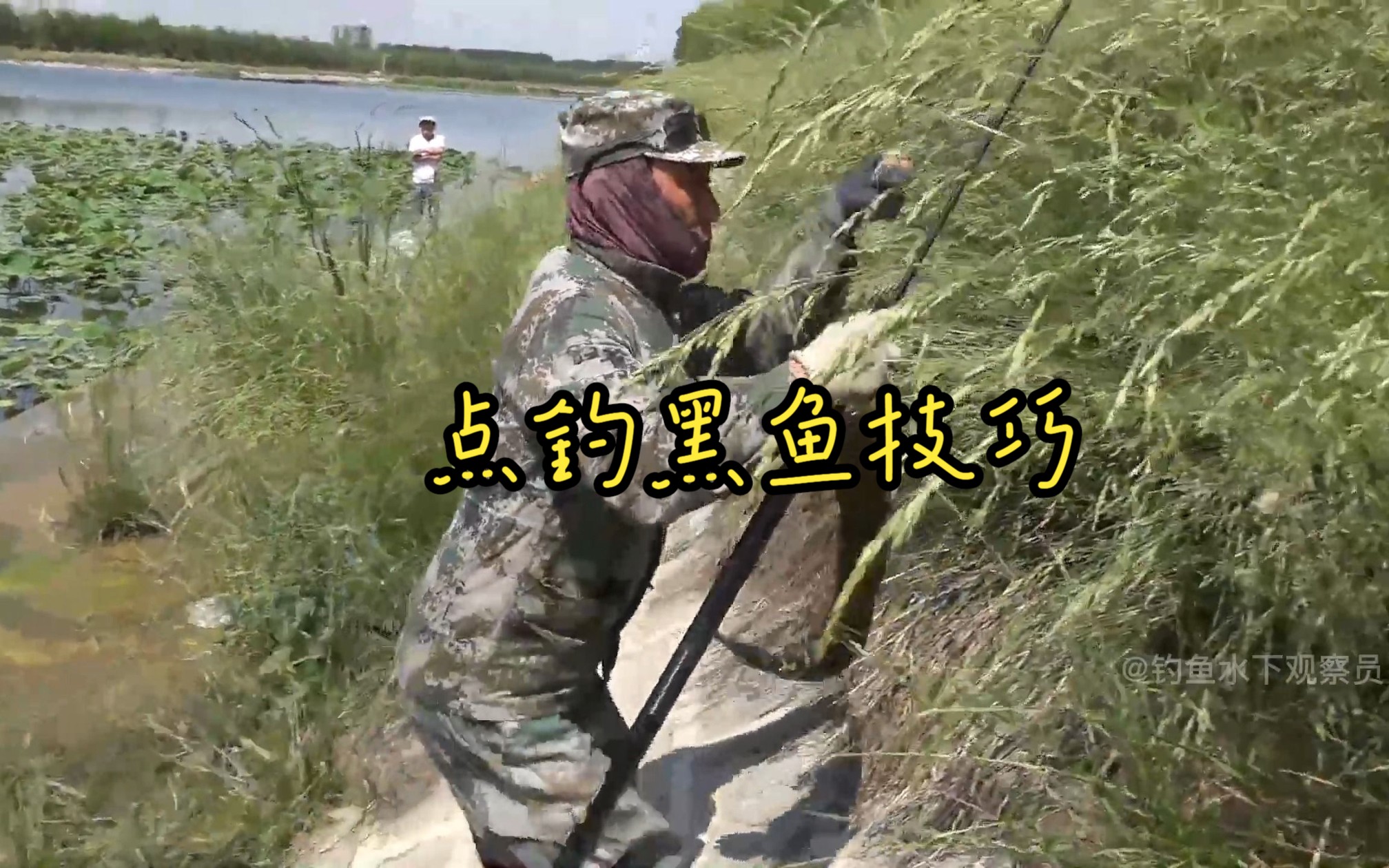 黑鱼野钓技巧视频(钓黑鱼的方法视频)