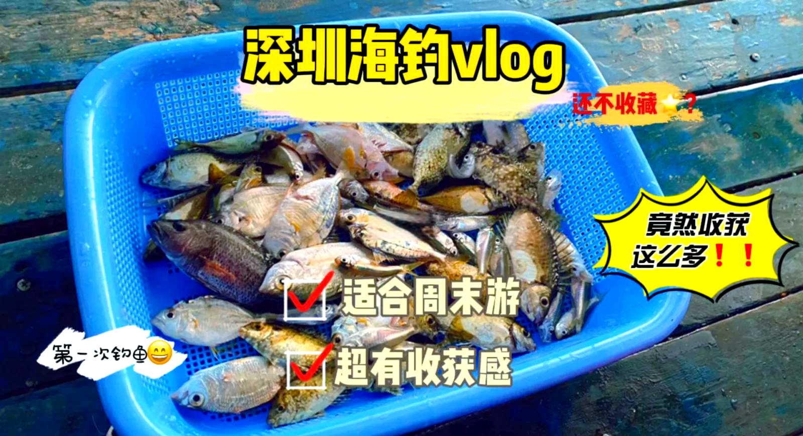 南澳海钓协会(南澳海钓协会会长是谁)
