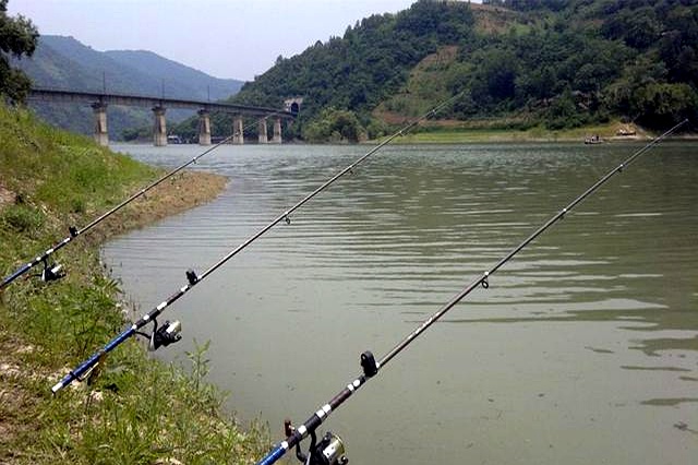 河流活水钓鱼技巧(河流活水钓鱼技巧和方法)