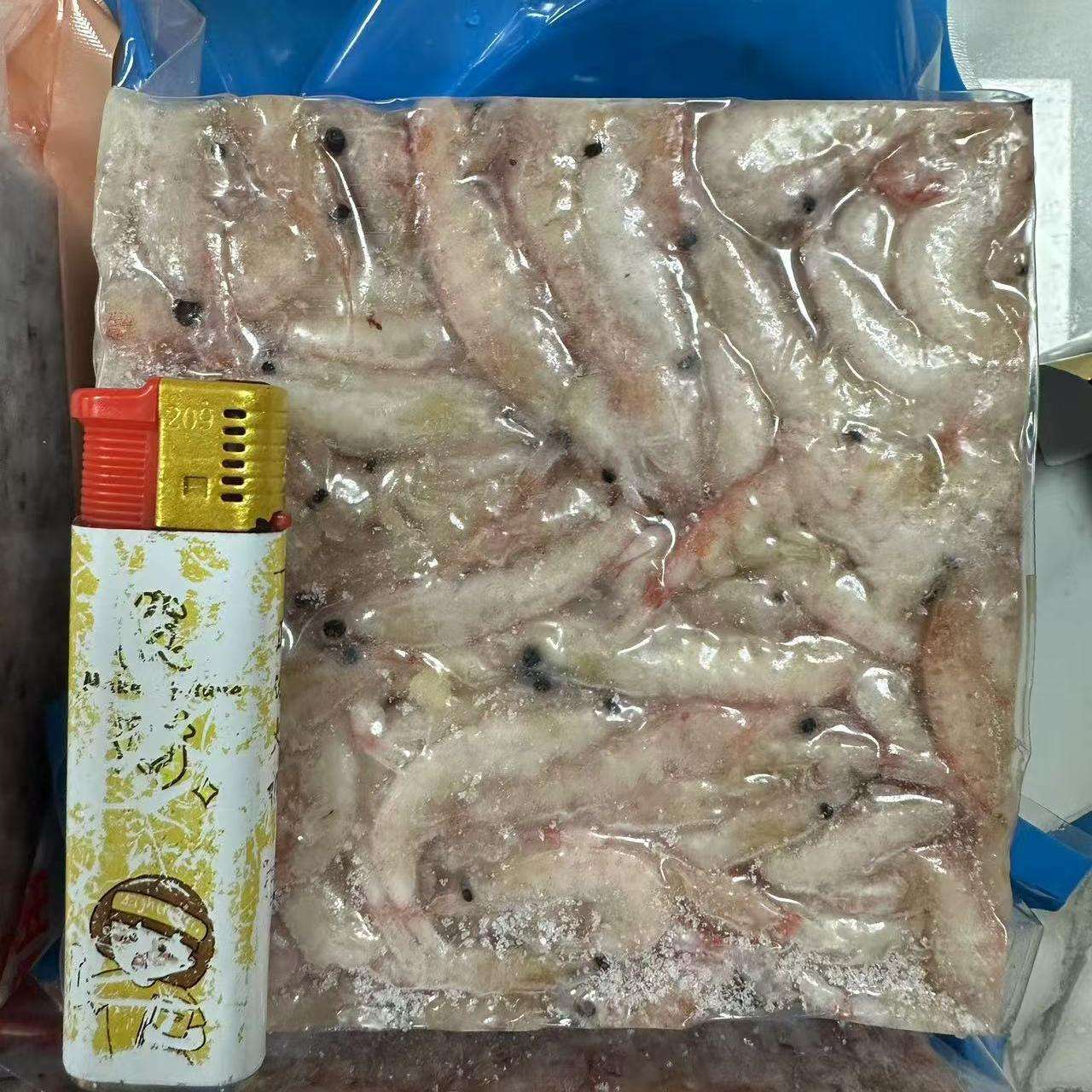 虾肉海钓(虾肉海钓绝密配方是什么)