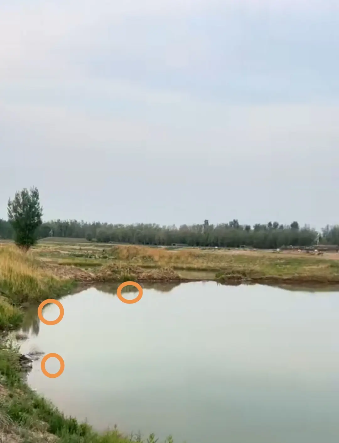 夷陵区路亚标点(宜昌夷陵区十大景点)