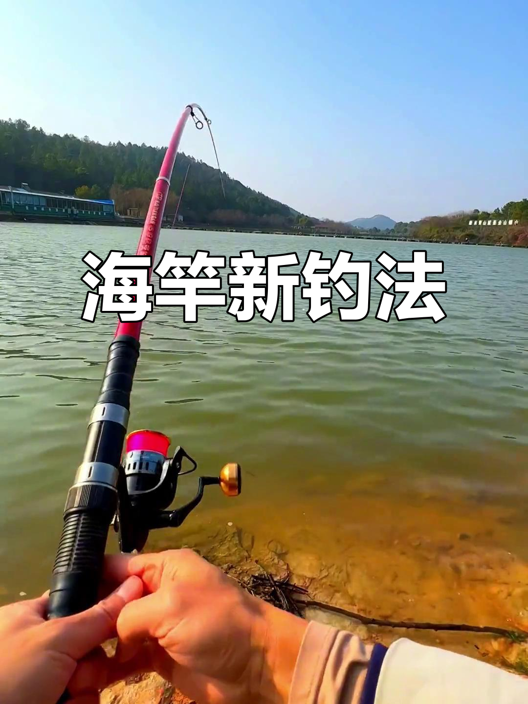 海竿如何饵料(海竿饵料制作方法)