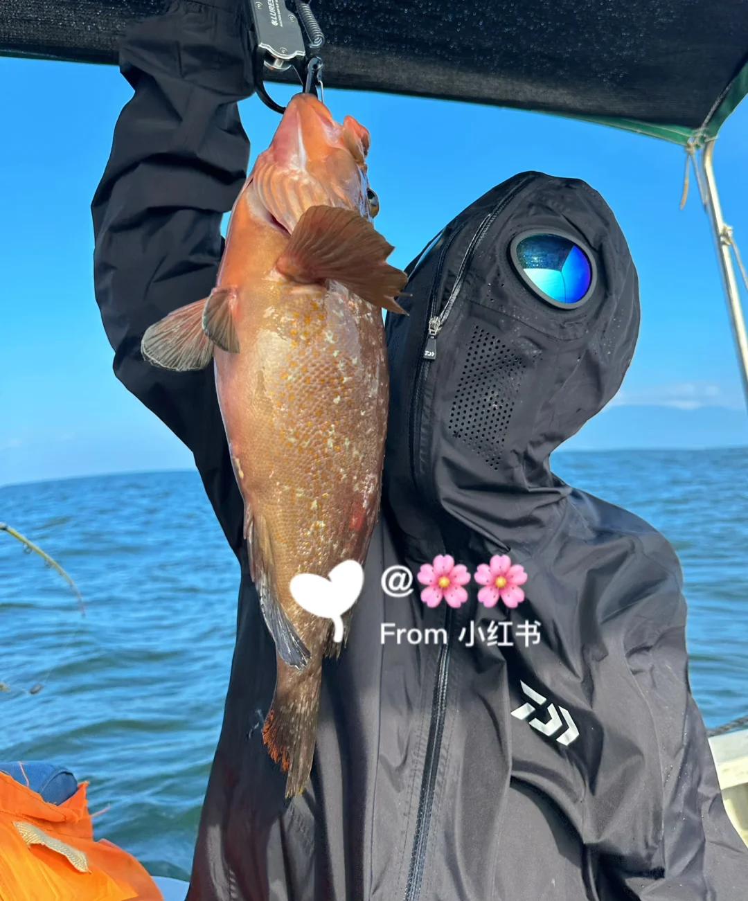 海钓小红斑夏季(海红斑图片大全)