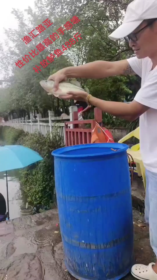 东莞沙田路亚(东莞沙角路亚)