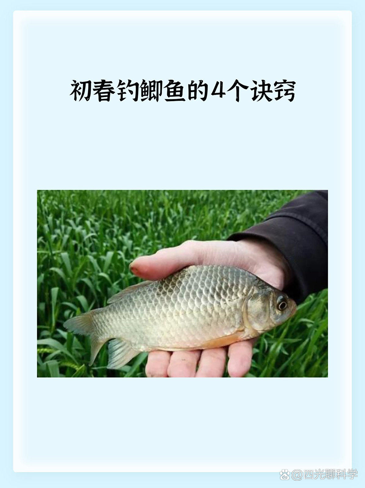 早春钓鲫鱼技巧大全(早春钓鲫鱼调几钓几)