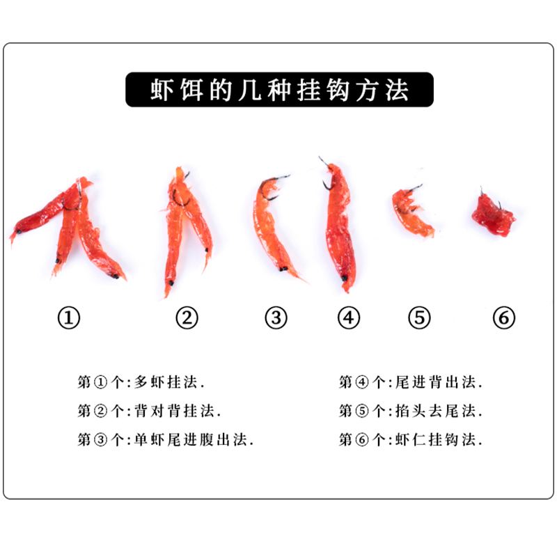 海钓怎么勾虾(海钓梭鱼线组图解)