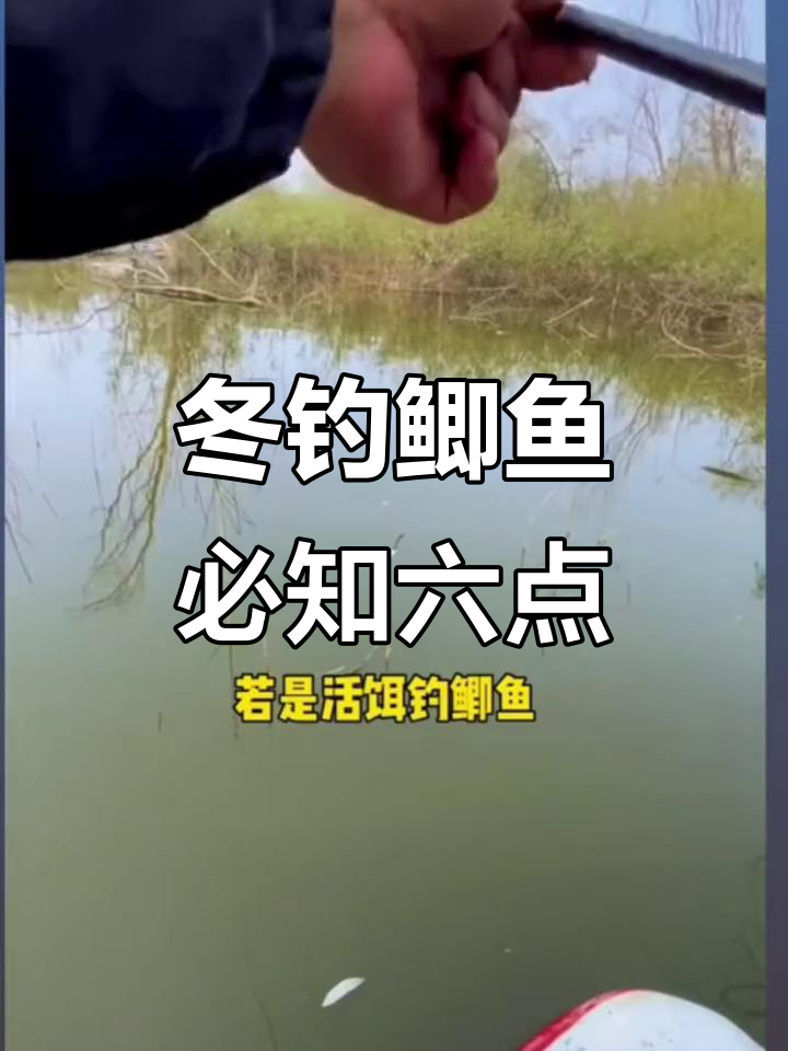 冬天在河里钓鲫鱼技巧(冬季大河里怎样钓鲫鱼)